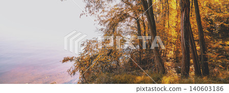 Beautiful autumn landscape. Trees grow on a cliff on the seacoast Beautiful autumn landscape. Trees grow on a cliff on the seacoast 140603186