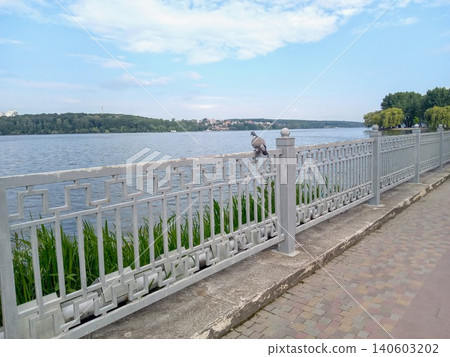 Calm lake above the city on a summer day, blue sky White bridge Calm lake above the city on a summer day, blue sky White bridge 140603202