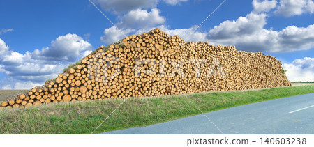Log, timber and stack of wood on a road with forest, trees and nature with firewood and deforestation. Plant, street and outdoor in countryside with bark, birch or maple supply with wooden material 140603238