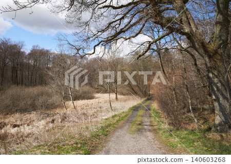Winter, road or forest with countryside travel, holiday or vacation scenery in Denmark or nature. Background, path or street for journey, tourism or outdoor adventure with woods, trees or cold season Winter, road or forest with countryside travel, holiday or vacation scenery in Denmark or nature. Background, path or street for journey, tourism or outdoor adventure with woods, trees or cold season 140603268