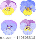 set of vector colors, viola, pansies 140603318