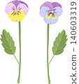 lilac vector viola flowers, sprout, leaf, pansies, violets 140603319