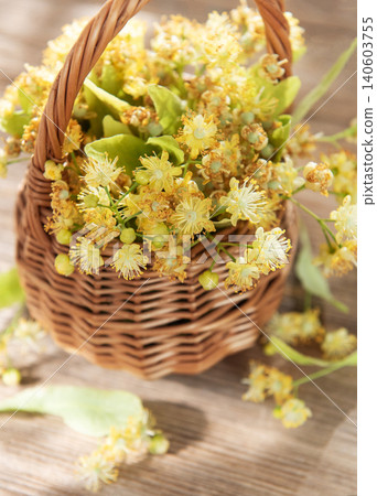 Linden flowers in wicker basket for herbal tea Linden flowers in wicker basket for herbal tea 140603755