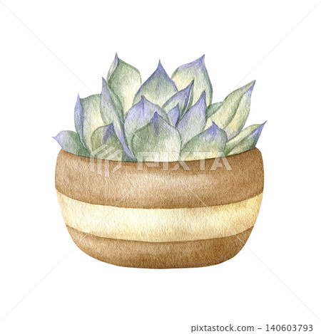 Watercolor succulent in a striped ceramic pot isolated illustration. Hand drawn botanical clipart of green houseplant for home decor, greeting cards, nursery wall art and modern interior design sets. Watercolor succulent in a striped ceramic pot isolated illustration. Hand drawn botanical clipart of green houseplant for home decor, greeting cards, nursery wall art and modern interior design sets. 140603793