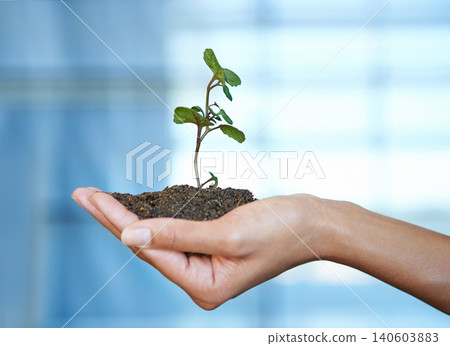 Person, hand and soil with plant for nature growth or future sustainability as earth day, climate change or non profit. Fingers, dirt and leaf for ecosystem gardening for agriculture, care or planet 140603883