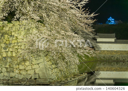 夜幕下的櫻花和彥根城 夜幕下的櫻花和彥根城 140604326