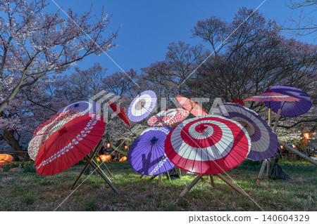 在Takati城堡的站點的櫻桃樹在晚上 在Takati城堡的站點的櫻桃樹在晚上 140604329