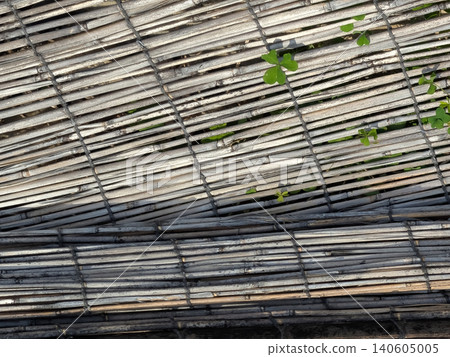 Aged bamboo fence and green clover / Japanese-style background texture material full of nature Aged bamboo fence and green clover / Japanese-style background texture material full of nature 140605005