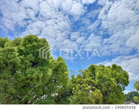 Vibrant green trees and scattered clouds in a blue sky. 140605036