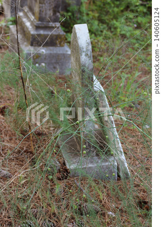Cemetery in Rural East TX Troup City Cemetery Asparagus Growing on Grave Cemetery in Rural East TX Troup City Cemetery Asparagus Growing on Grave 140605124