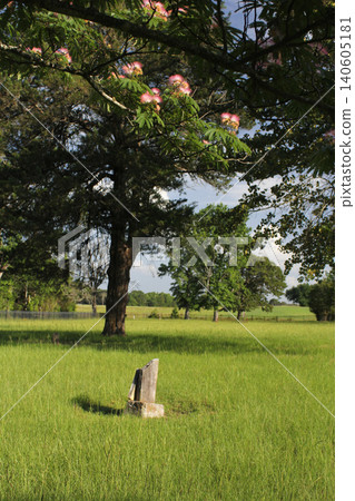 Historic Ebenezer Cemetery Near Troup TX, Rural East Texas 140605181