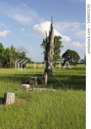 Historic Ebenezer Cemetery Near Troup TX, Rural East Texas 140605230