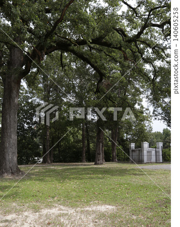Smith Memorial Park Located in Downtown Henderson TX 140605258