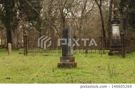 Historic Cemetery in Rural East Texas Historic Cemetery in Rural East Texas 140605269