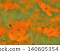 Cosmos 140605354