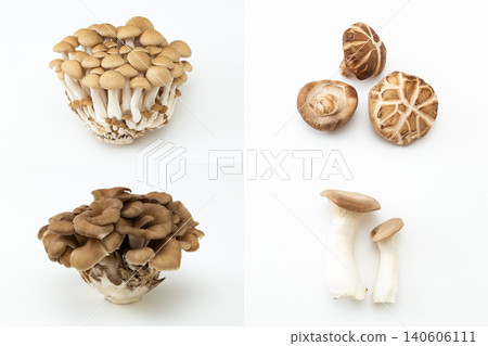 Mushroom collage photos Mushroom collage photos 140606111