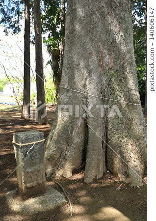 A walk around Iwatsuki: Kanpaku Shrine, the roadside deity in the shrine grounds 140606147