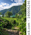 山間一條繡球花盛開的小徑 140606246
