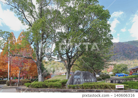 高木町休閒村公園(兵庫縣)的秋葉景色 高木町休閒村公園(兵庫縣)的秋葉景色 140606316