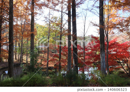 高木町休閒村公園(兵庫縣)的秋葉景色 高木町休閒村公園(兵庫縣)的秋葉景色 140606323