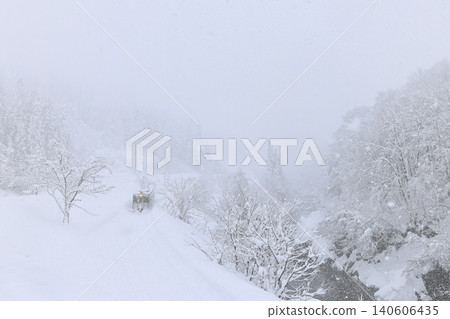 暴風雪中的唯見線 暴風雪中的唯見線 140606435