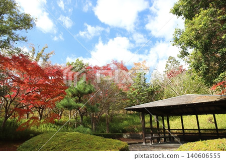 Autumn foliage scenery at Taka Town Leisure Village Park (Hyogo Prefecture) 140606555
