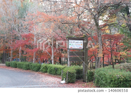 高木町休閒村公園(兵庫縣)的秋葉景色 高木町休閒村公園(兵庫縣)的秋葉景色 140606558