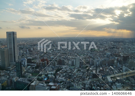 From the Tokyo Metropolitan Government Building observation deck From the Tokyo Metropolitan Government Building observation deck 140606646