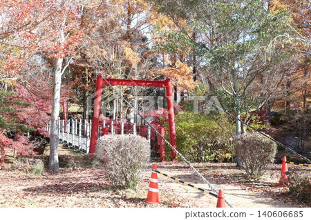 高木町休閒村公園(兵庫縣)的秋葉景色 高木町休閒村公園(兵庫縣)的秋葉景色 140606685