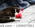 Hachi Ware Cat 140607061