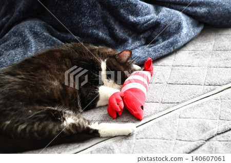 Hachi Ware Cat Hachi Ware Cat 140607061