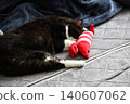 Hachi Ware Cat 140607062