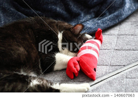 Hachi Ware Cat Hachi Ware Cat 140607063