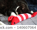 Hachi Ware Cat 140607064