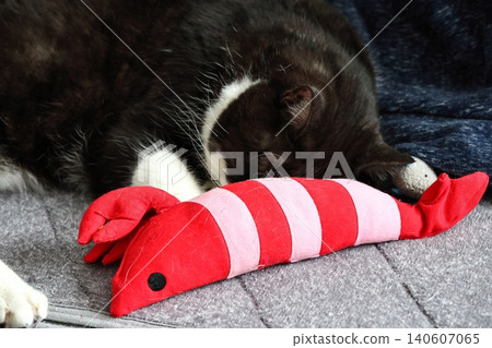 Hachi Ware Cat Hachi Ware Cat 140607065