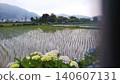 風景與繡球花 140607131