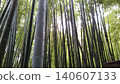 與竹林的風景 140607133