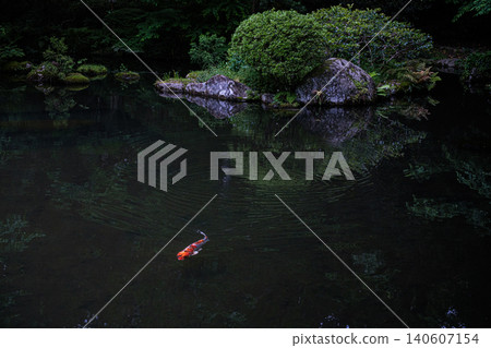 茨城縣香取神社神聖場所內的一條魚。 茨城縣香取神社神聖場所內的一條魚。 140607154