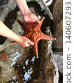A child's hand holding a starfish 140607293