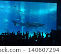 whale shark swimming in aquarium 140607294
