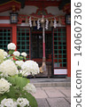 Osaka Izumo Shrine 140607306