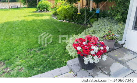 Colorful Flower Pots In Backyard Garden Colorful Flower Pots In Backyard Garden 140607346