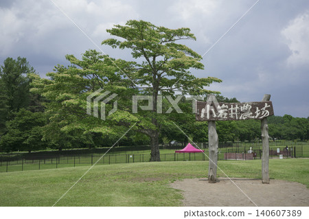 Scenery seen at Koiwai Farm in Iwate Prefecture Scenery seen at Koiwai Farm in Iwate Prefecture 140607389