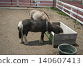 Scenery seen at Koiwai Farm in Iwate Prefecture 140607413