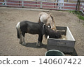 Scenery seen at Koiwai Farm in Iwate Prefecture 140607422