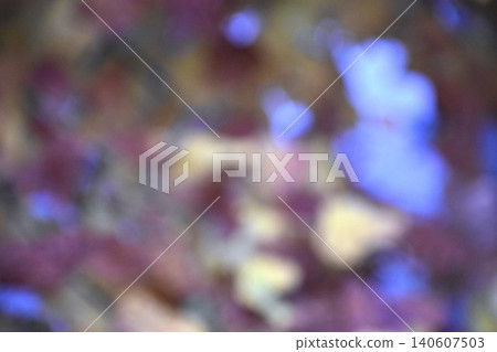 模糊的植物背景素材 模糊的植物背景素材 140607503