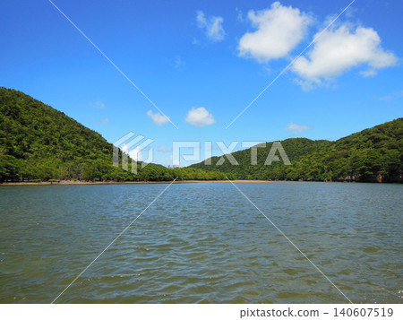 Iriomote Island Iriomote Island 140607519