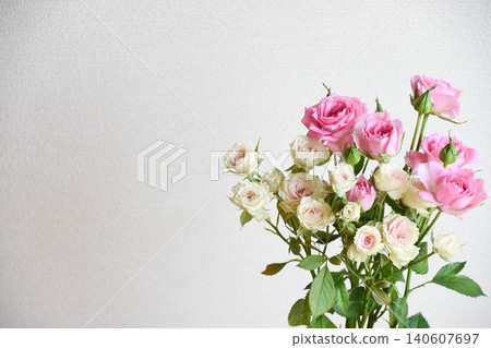 Pink rose Pink rose 140607697