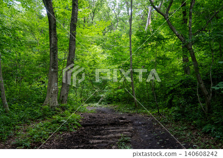 Beautiful scenery of Mt. Shimohiruzen in Maniwa City, Okayama Prefecture, Japan Beautiful scenery of Mt. Shimohiruzen in Maniwa City, Okayama Prefecture, Japan 140608242