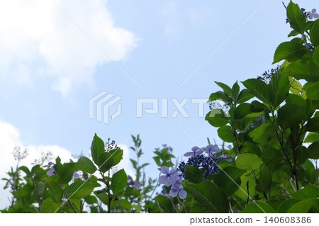 Scenery in Tokyo 140608386